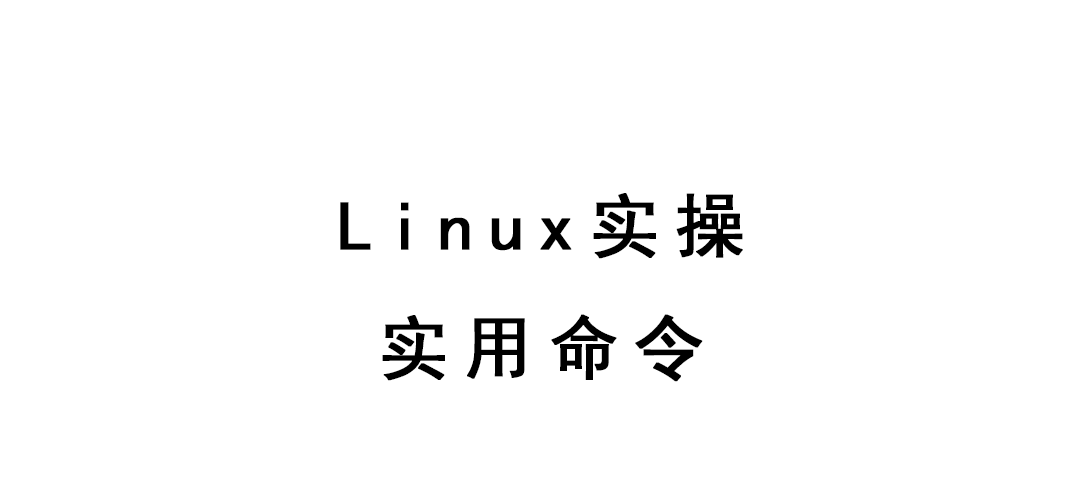 Linux实操-实用命令