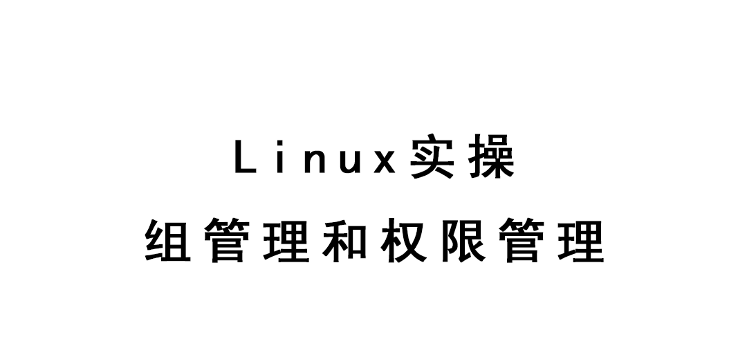 Linux实操-组管理和权限管理