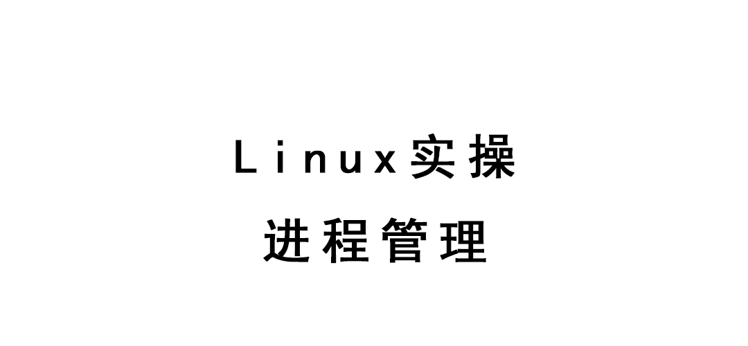 Linux实操-进程管理