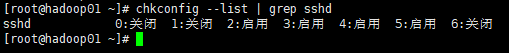 chkconfig-2