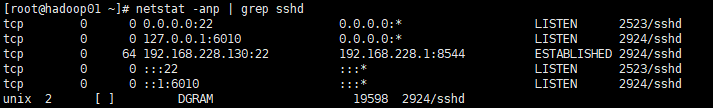 netstat-1