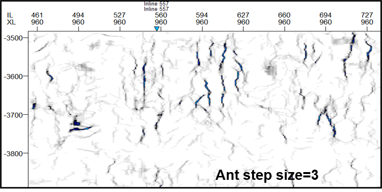 Ant step size-2